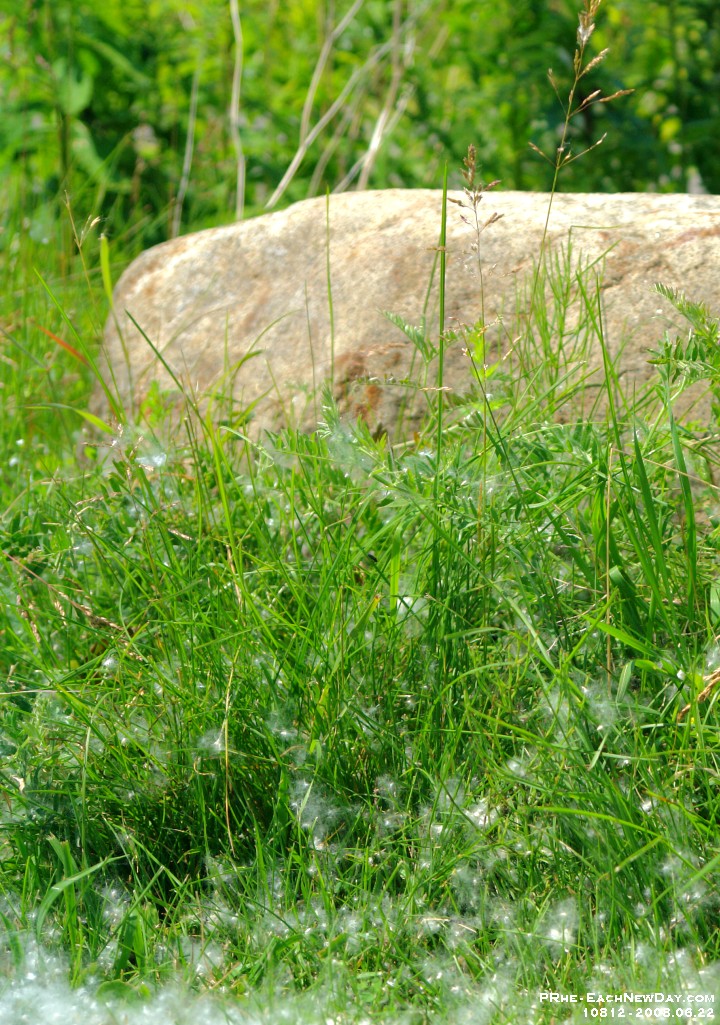 10812CrLeSh - Along the Waterfront Trail with Beth - Andrew